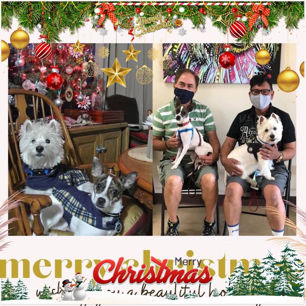 Meet your Posher, Norman